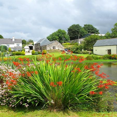 Polhilsa Farm Bed and Breakfast Callington Exteriör bild
