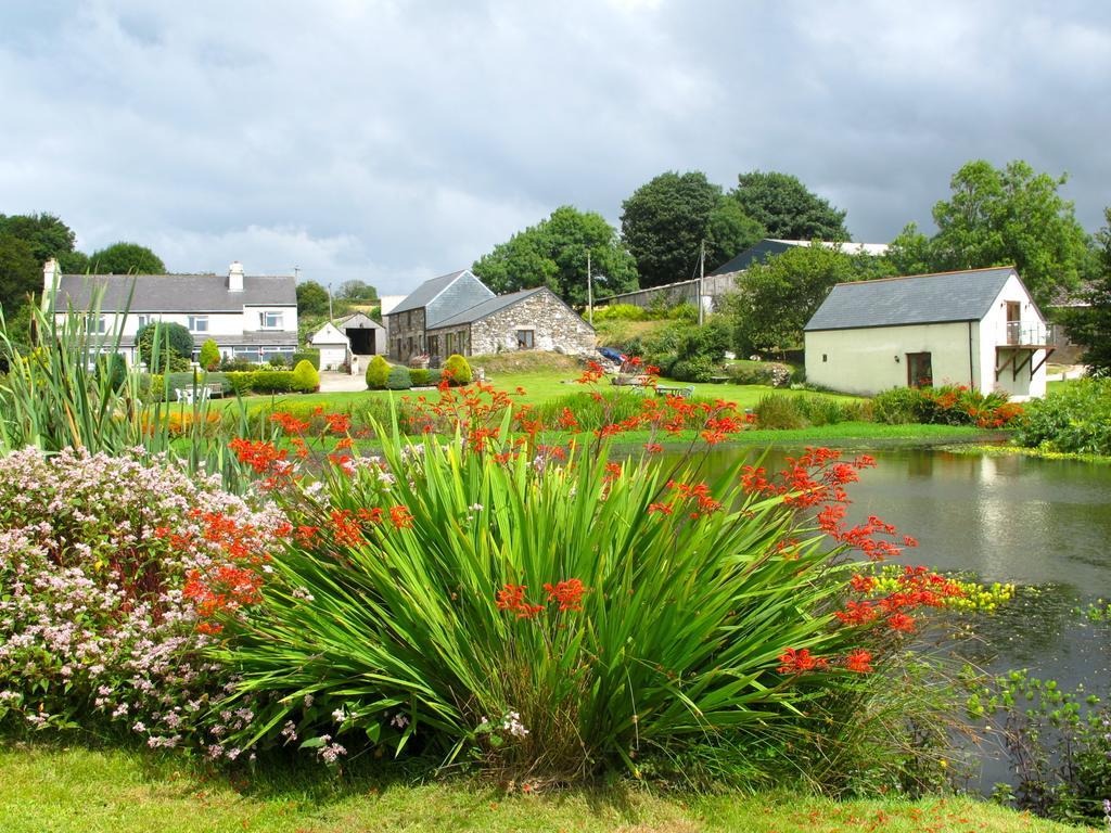 Polhilsa Farm Bed and Breakfast Callington Exteriör bild
