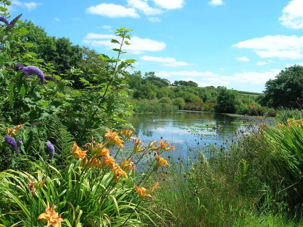 Polhilsa Farm Bed and Breakfast Callington Rum bild
