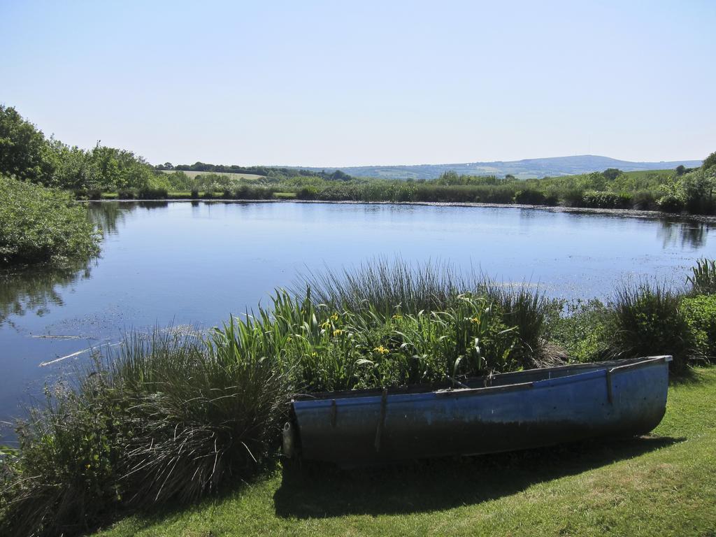 Polhilsa Farm Bed and Breakfast Callington Exteriör bild