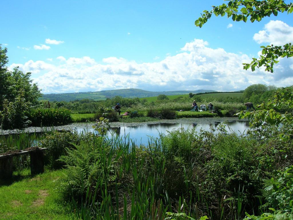 Polhilsa Farm Bed and Breakfast Callington Exteriör bild