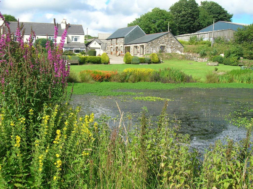 Polhilsa Farm Bed and Breakfast Callington Rum bild