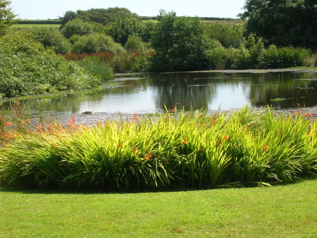 Polhilsa Farm Bed and Breakfast Callington Exteriör bild